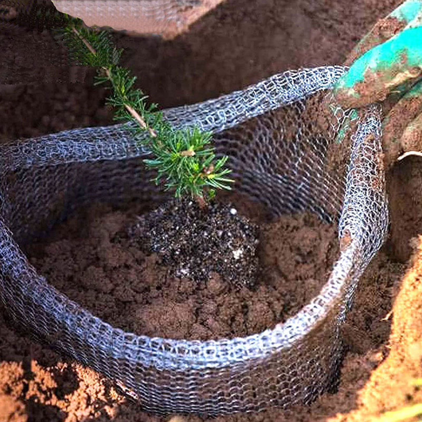 Plant Root Guard Baskets Garde - مراجعة Mesh Stainless Strap وسعره