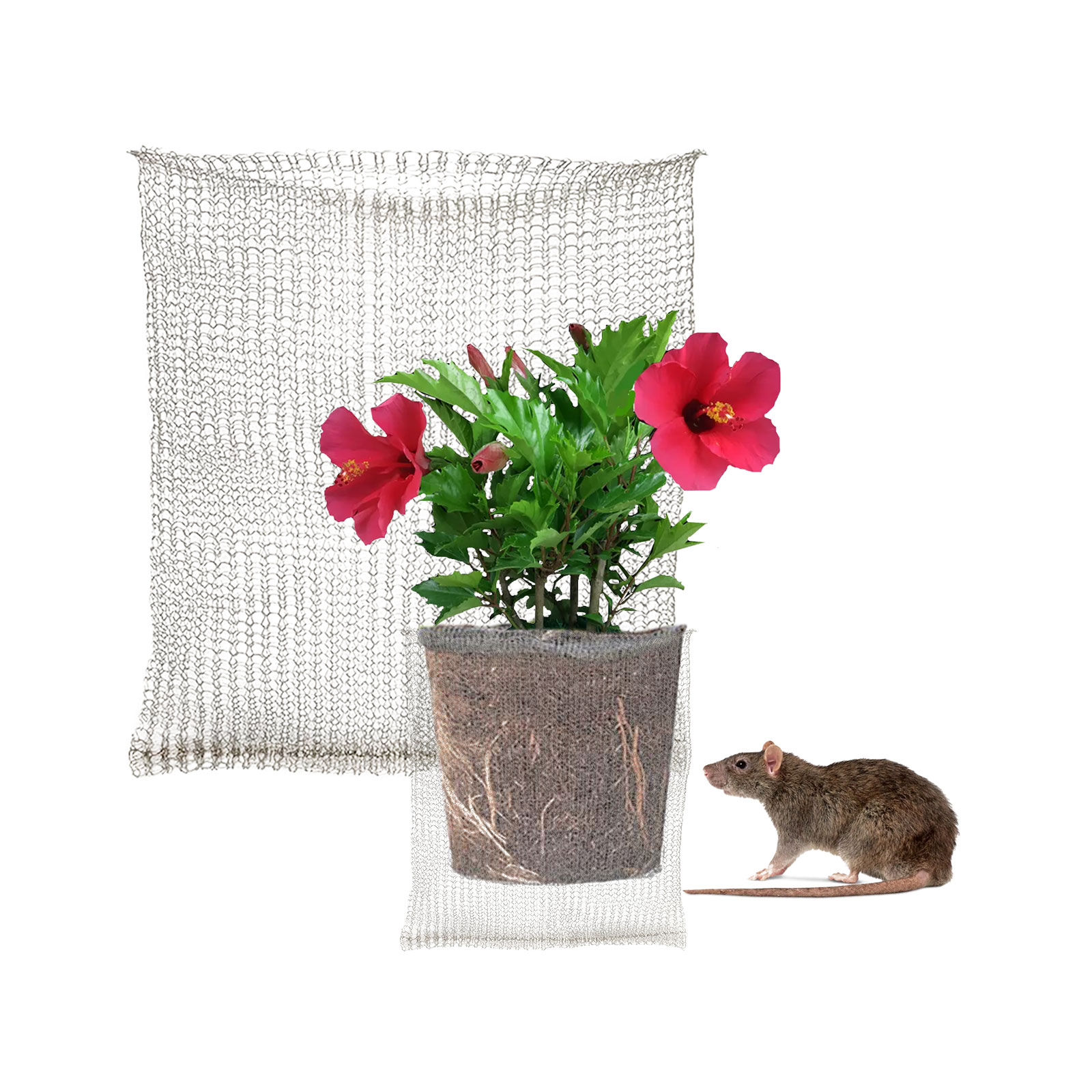 Plant Root Guard Baskets Garde - مراجعة Mesh Stainless Strap وسعره
