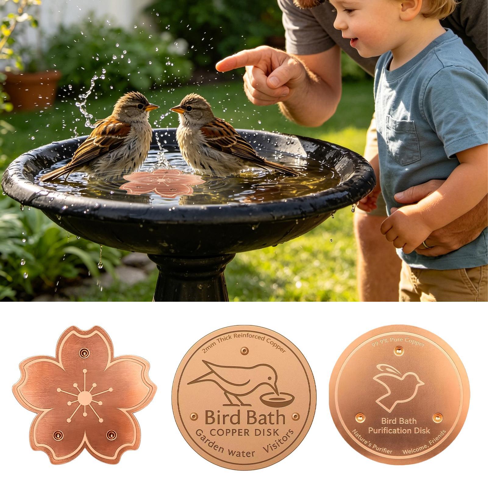 Copper For Bird Bath Safe Puri - مراجعة Watch Es وسعره