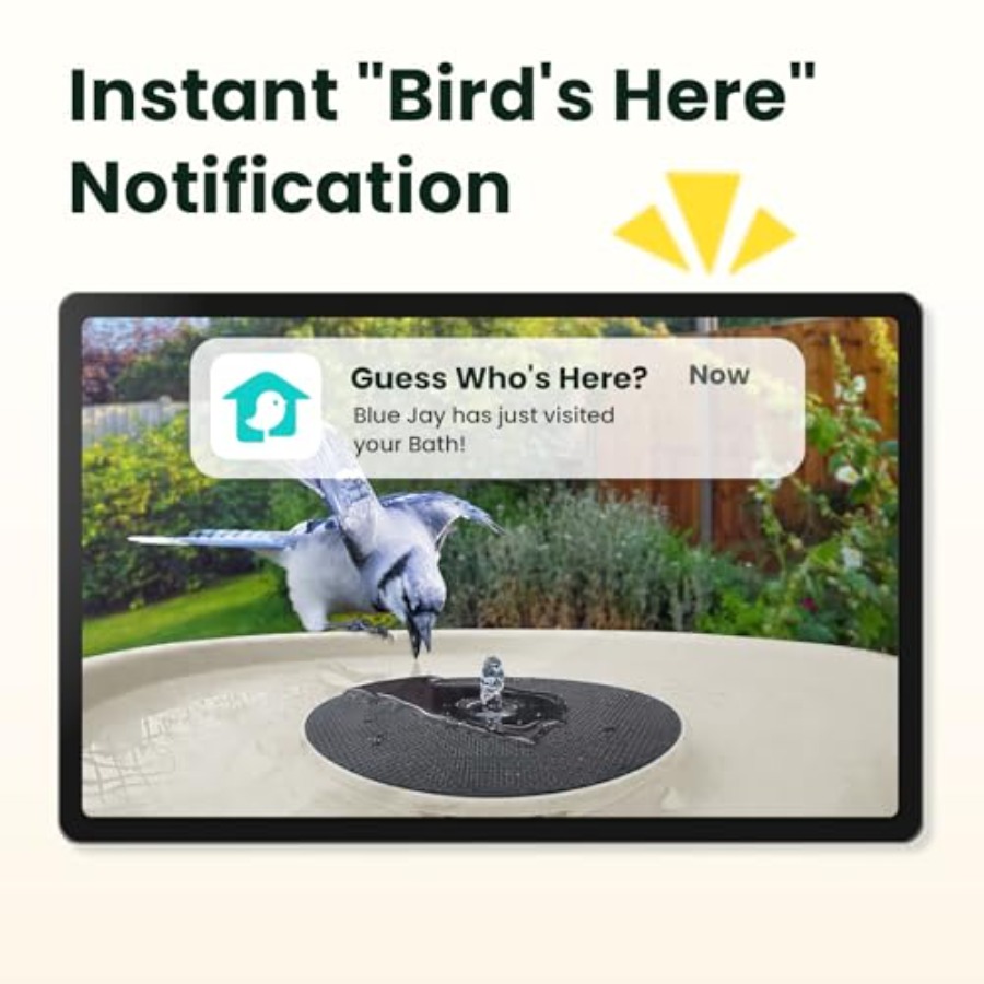 Bird Watching Smart Bird Bath  - مراجعة Smartwatch I Watches وسعره