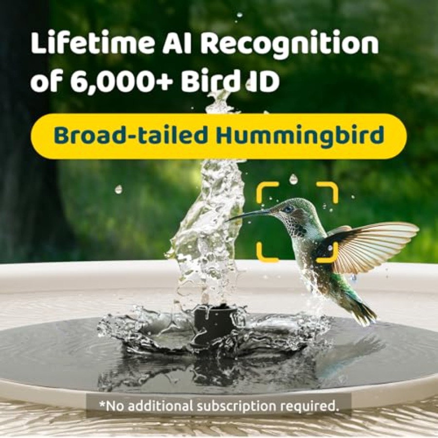 Bird Watching Smart Bird Bath  - مراجعة Smartwatch I Watches وسعره
