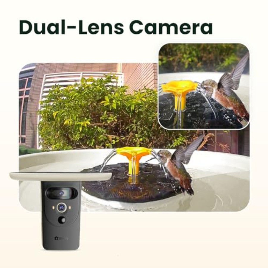 Bird Watching Smart Bird Bath  - مراجعة Smartwatch I Watches وسعره