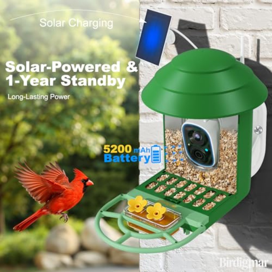Bird Feeder with Camera for Ou - مراجعة Smartwatch I Watches وسعره