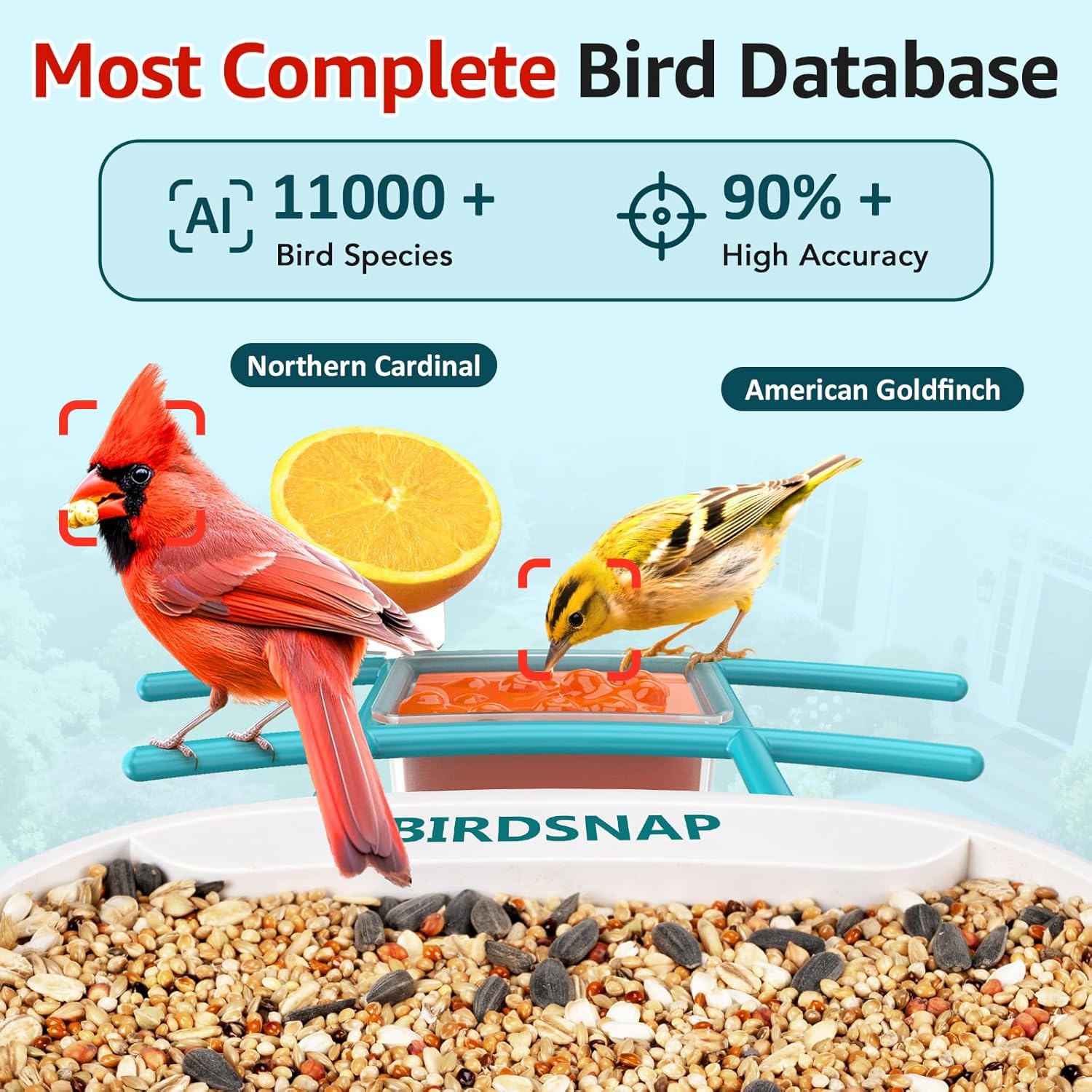 2K HD Bird Feeder Camera with  - مراجعة Watch Es وسعره