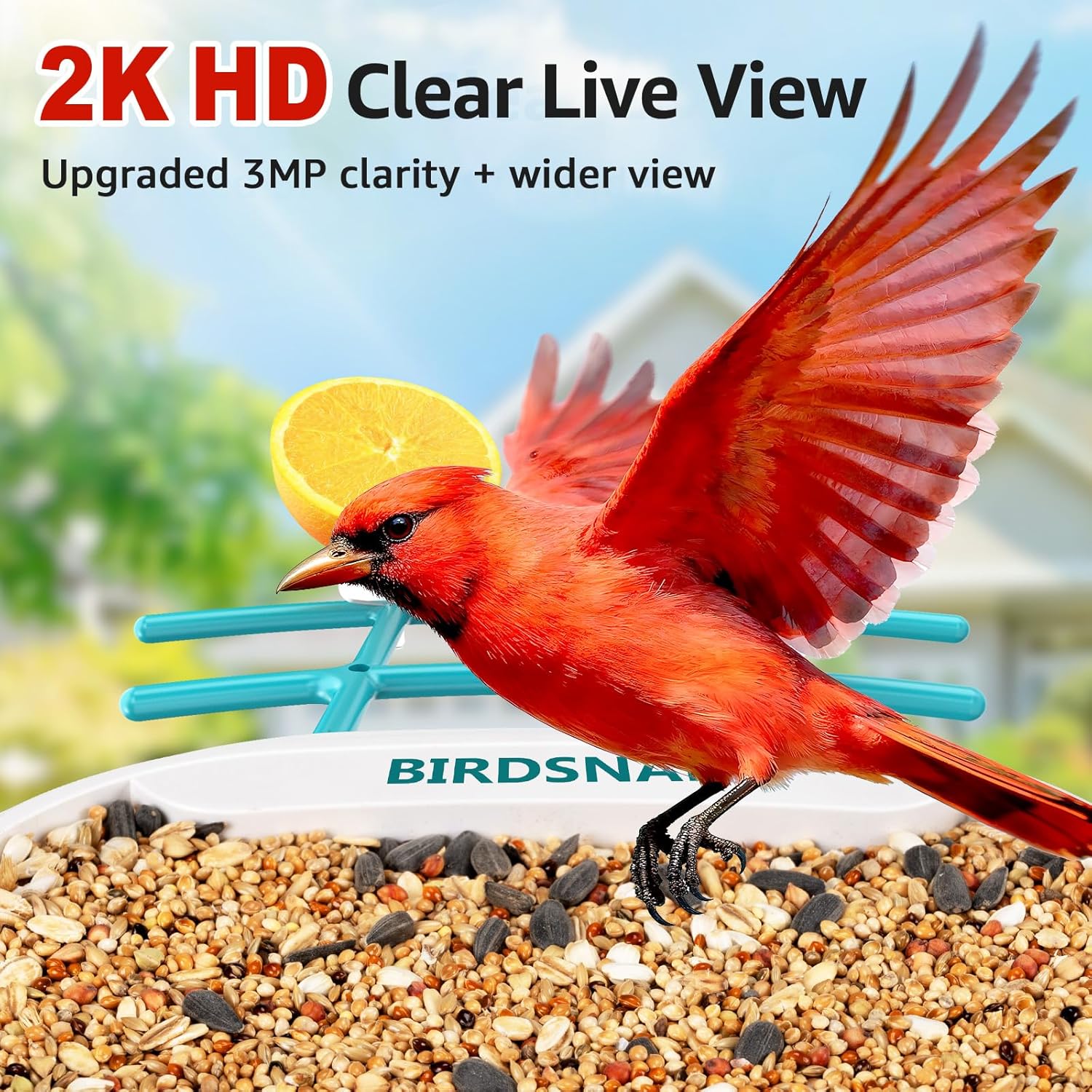 2K HD Bird Feeder Camera with  - مراجعة Watch Es وسعره